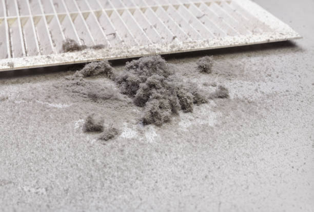 Best Home Air Vent Cleaning  in Mount Plymouth, FL