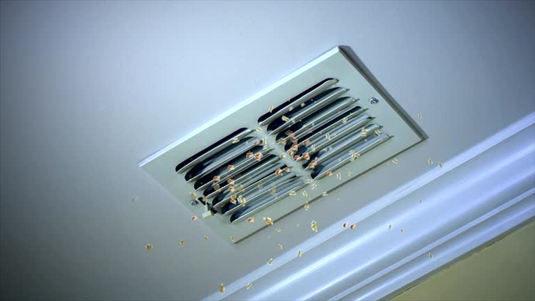 Best Air Duct Cleaning Near Me  in Mount Plymouth, FL