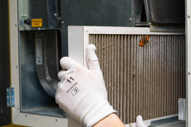 Best Air Duct Mold Removal  in Mount Plymouth, FL