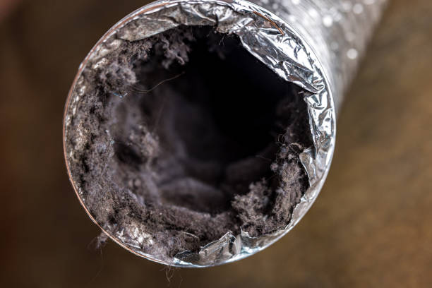 Best Affordable HVAC Duct Cleaning  in Mount Plymouth, FL
