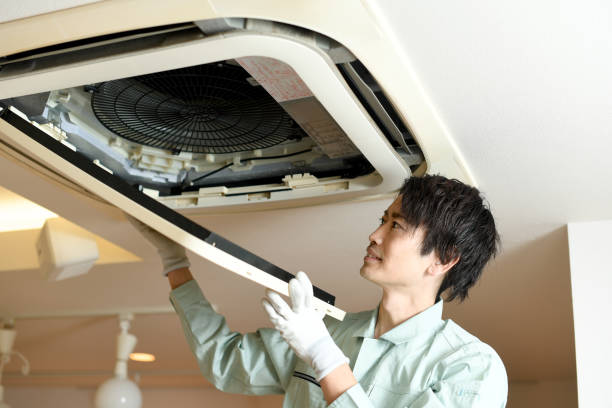 Best Professional Duct Cleaning Services  in Mount Plymouth, FL
