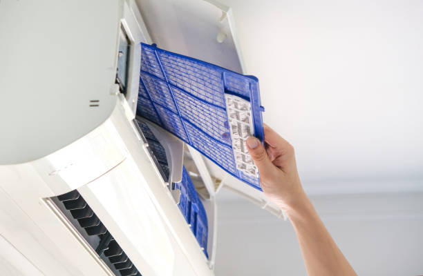 Best Duct Cleaning for Homes  in Mount Plymouth, FL