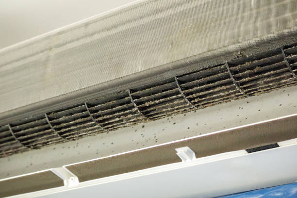 Best Best Air Duct Cleaning Company  in Mount Plymouth, FL