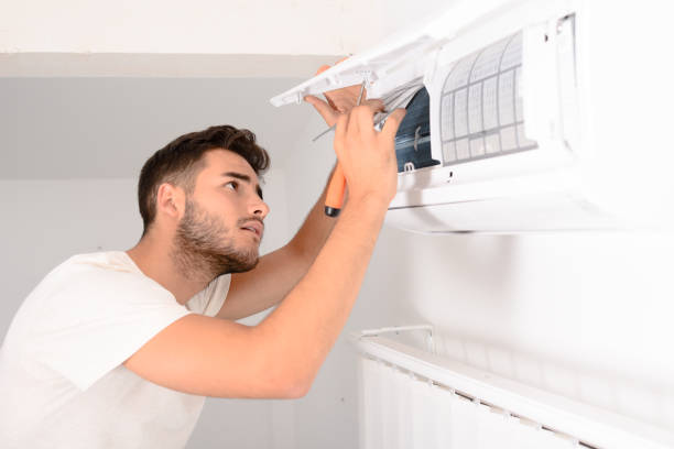 Best Ductwork Cleaning Services  in Mount Plymouth, FL